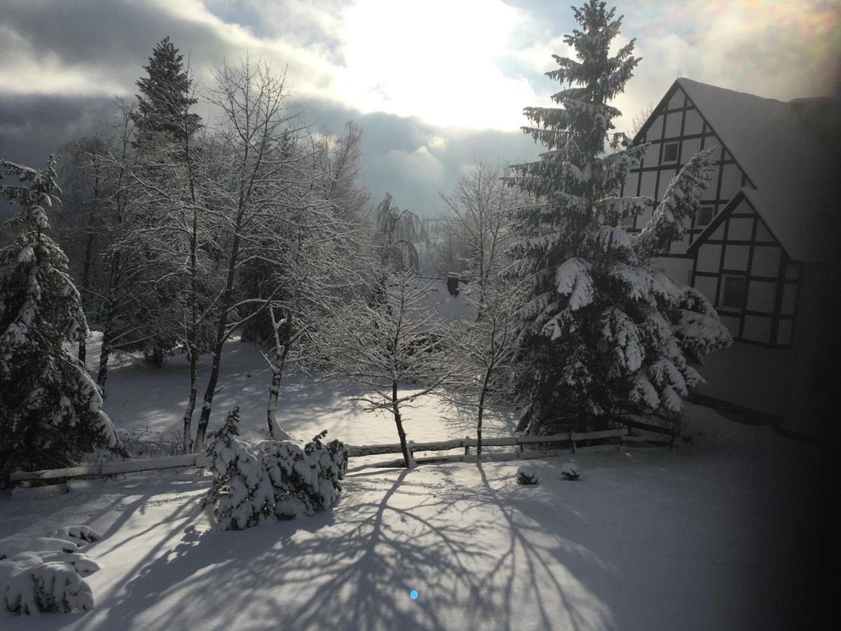 Appartement An Der Erlebniskappe Mit Fahrradkeller Winterberg Exterior foto